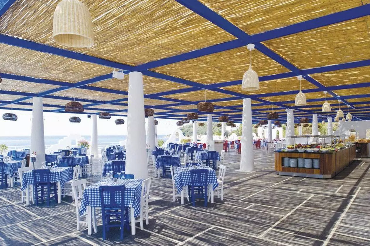 PALOMAPASHA_SHABAVIZ (3).jpg